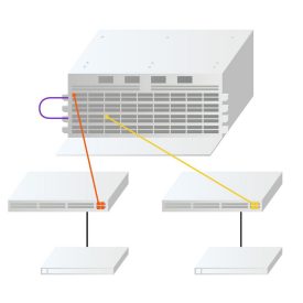 Spine Switch and a Line Card