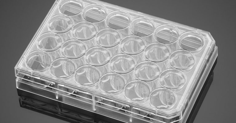 Corning® BioCoat® Control Cell Culture Inserts, PET Membrane