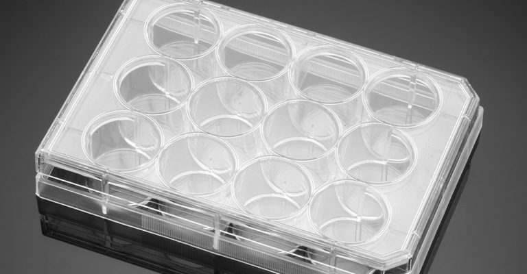 Falcon® Cell Culture Insert Companion Plates