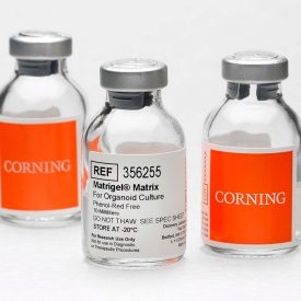 Corning Matrigel Matrix