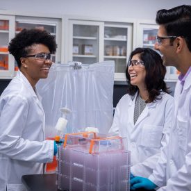 Scientists working in a group together over a HYPERStack