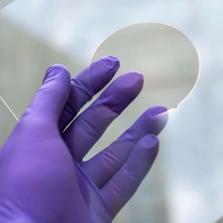 Image of a hand with a wafer